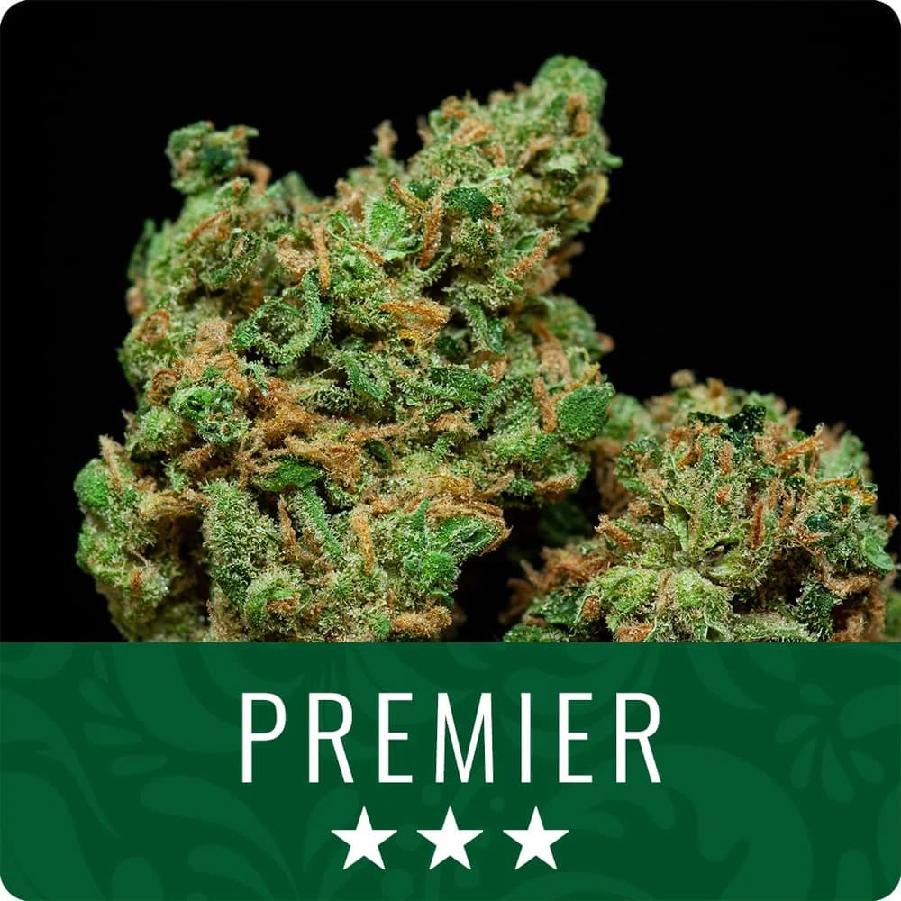 Pink Honey x Chem Dawg